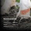 Sureklot Rapid Action Wound Spray Veterinary For Animals 100Ml