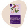 The Snack Company Date Chocochip Bistick 90G | Atta Biscuit | Made With Butter | No Palm Oil