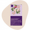 The Snack Company Date Chocochip Bistick 90G | Atta Biscuit | Made With Butter | No Palm Oil