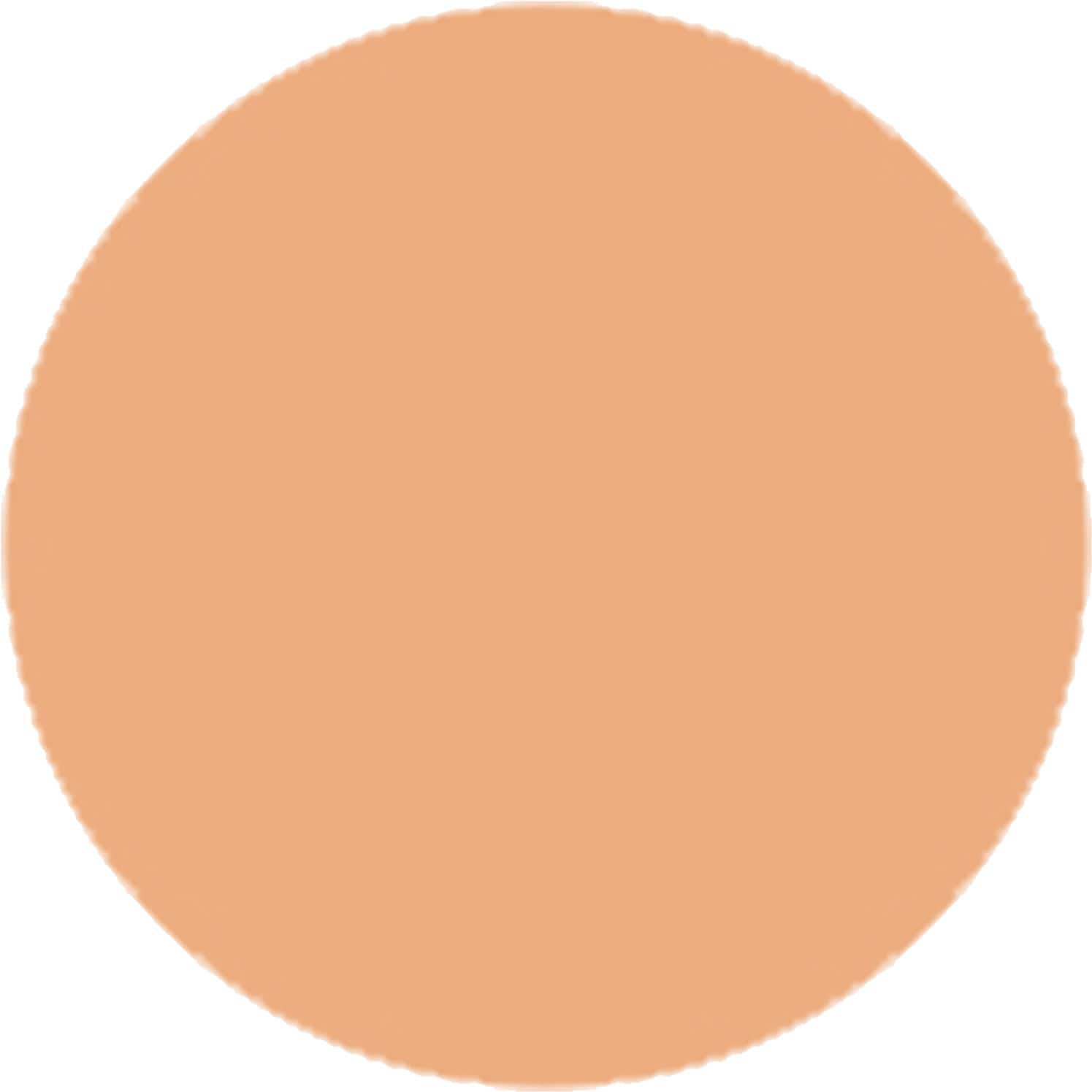 Buy LAKME 9 TO 5 PRIMER + MATTE POWDER FOUNDATION COMPACT, ROSE SILK, 9