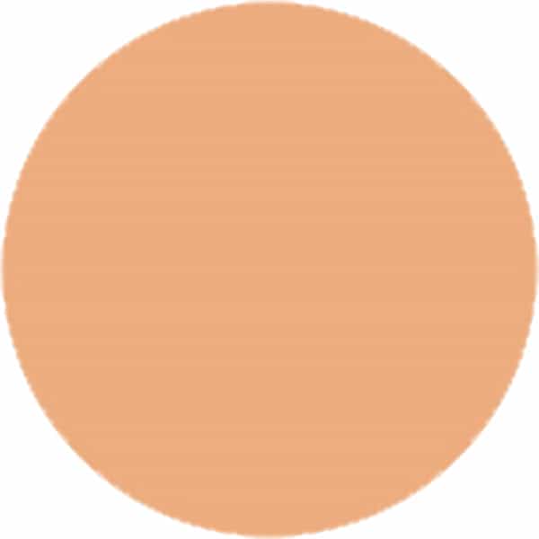 Lakme 9 To 5 Primer + Matte Powder Foundation Compact Rose Silk 9 G