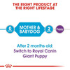 Royal Canin Giant Starter | Mother & Babdog Food | 3.5 Kg | Dry Food