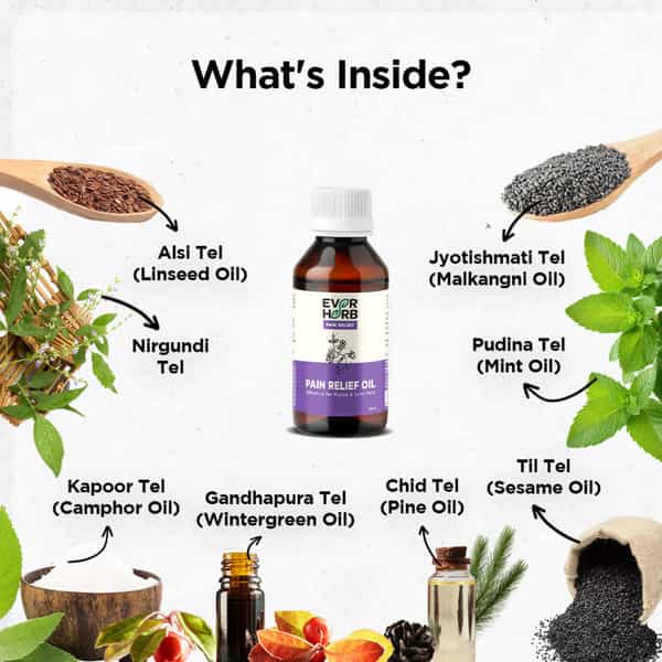 Everherb | Pain Relief Oil | Blend Of 8 Powerful Herbal Ingredients | Bottle 100 Ml (By Pharmeasy)
