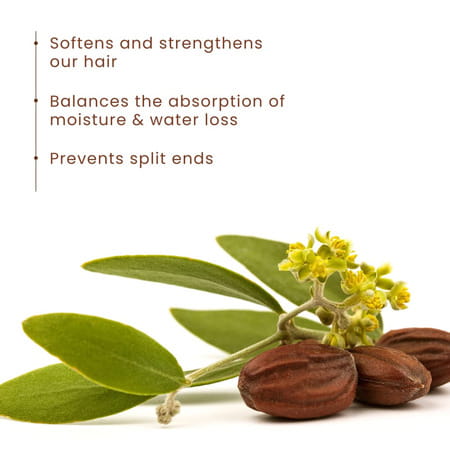 Nugencare Jojoba Oil For Hair | Skin & Stronger Nails 30 Ml Pack 1