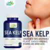 Fitness Veda Thyroid Supplement With Quick Action Sea Kelp Capsules | Thyroid Supplement