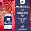 Fitness Veda Thyroid Supplement With Quick Action Sea Kelp Capsules | Thyroid Supplement