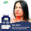 Fitness Veda Thyroid Supplement With Quick Action Sea Kelp Capsules | Thyroid Supplement