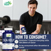 Fitness Veda Thyroid Supplement With Quick Action Sea Kelp Capsules | Thyroid Supplement