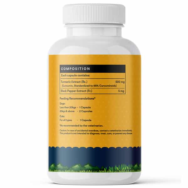 Inlife Curcumin With Piperine For Dogs Cats And Pets | 95% Curcuminoids - 60 Vegetarian Capsules