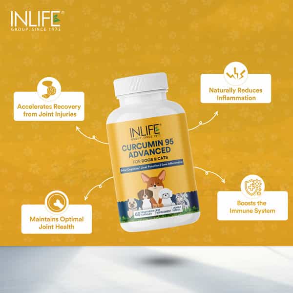 Inlife Curcumin With Piperine For Dogs Cats And Pets | 95% Curcuminoids - 60 Vegetarian Capsules