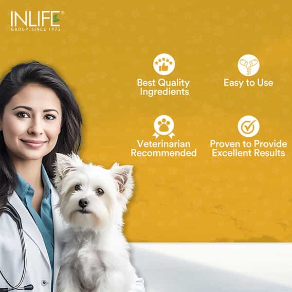 Inlife Curcumin With Piperine For Dogs Cats And Pets | 95% Curcuminoids - 60 Vegetarian Capsules