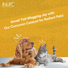 Inlife Curcumin With Piperine For Dogs Cats And Pets | 95% Curcuminoids - 60 Vegetarian Capsules
