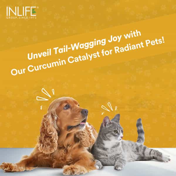 Inlife Curcumin With Piperine For Dogs Cats And Pets | 95% Curcuminoids - 60 Vegetarian Capsules