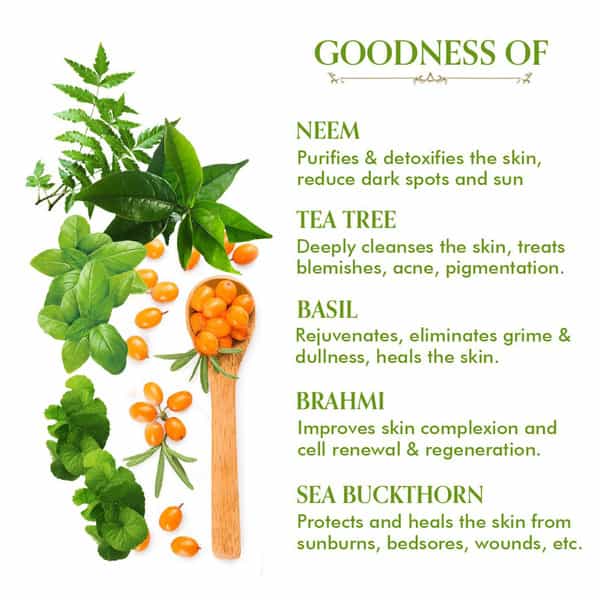 Tac - The Ayurveda Co. Tea Tree Foaming Face Wash With Neem & Basil - 100Ml