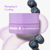 The Face Shop Vitamin A Lip Mask With Blueberry Extracts | Shea Butter For Soft Plump Lips - 14g