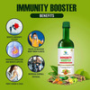 Vedapure Immunity Booster For Enhancing Your Immunity Quality Life 500ml