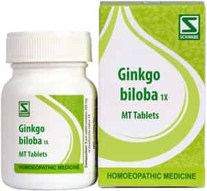 Dr. Willmar Schwabe India Ginkgo Biloba 1x 20gm