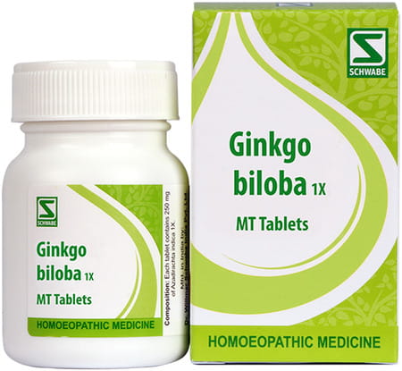 Dr. Willmar Schwabe India Ginkgo Biloba 1x 20gm
