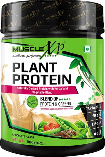 Musclexp Plant Protein - Natural Protein Powder With Pea Protein Vegetable Blend 400G (Sugar Free)