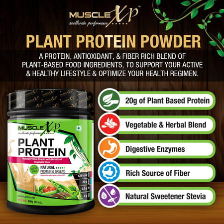 Musclexp Plant Protein - Natural Protein Powder With Pea Protein Vegetable Blend 400g (Sugar Free)