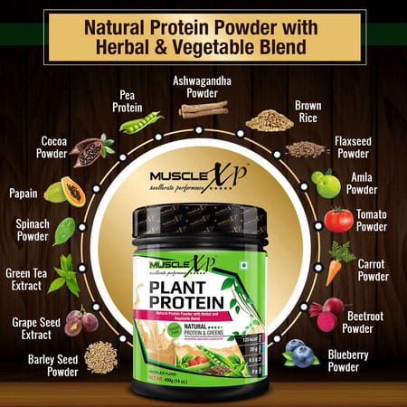 Musclexp Plant Protein - Natural Protein Powder With Pea Protein Vegetable Blend 400g (Sugar Free)