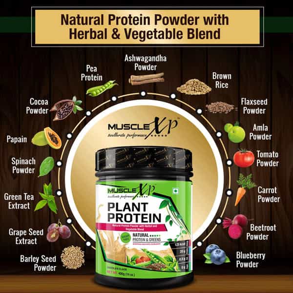 Musclexp Plant Protein - Natural Protein Powder With Pea Protein Vegetable Blend 400G (Sugar Free)