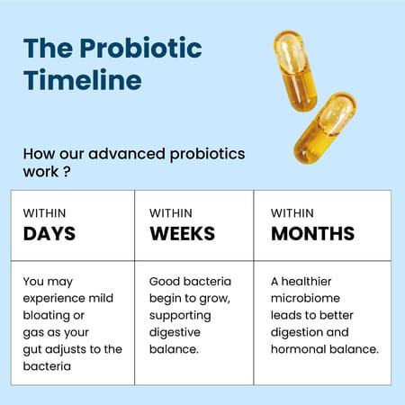 Vlados Himalayan Organic Probiotics 60b Cfu + 170mg Prebiotics + 24 Strains Supplement | Veg - 60n