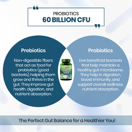 Vlados Himalayan Organic Probiotics 60b Cfu + 170mg Prebiotics + 24 Strains Supplement | Veg - 60n