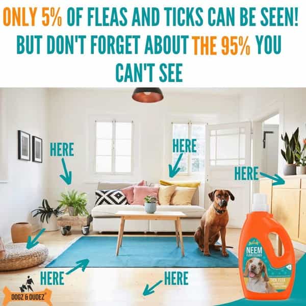 Dogz & Dudez Neem Floor Cleaner For Home And Kennel 200 Ml