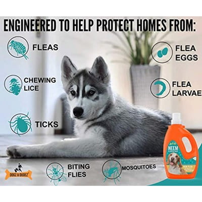 View product image 4