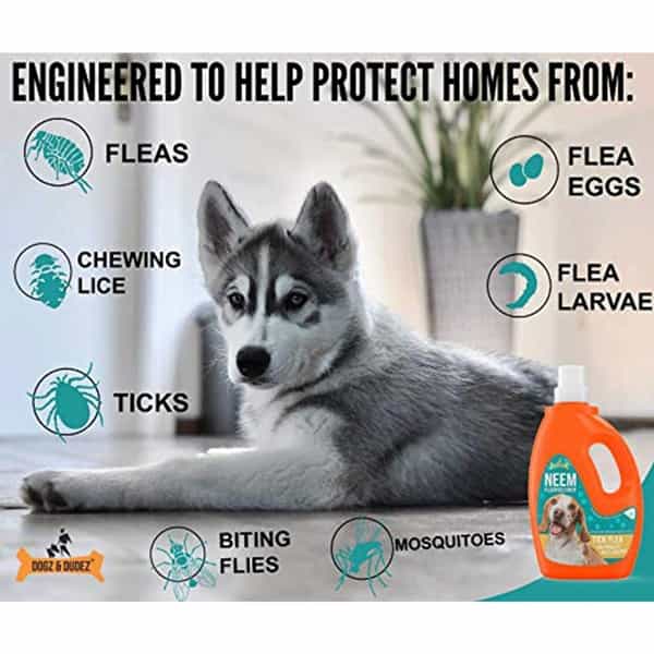 Dogz & Dudez Neem Floor Cleaner For Home And Kennel 200 Ml