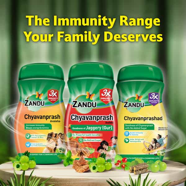 Zandu Chyavanprash Avaleha 900 Gm