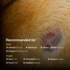 Sureklot Wound Spray (100 Ml) And Powder (10 Ml) Combo For Veterinary (For Animals)
