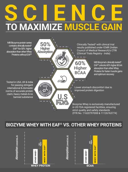 Muscleblaze Biozyme Performance Whey Protein | Chocolate Hazelnut | 2Kg| 25G Protein Per Scoop