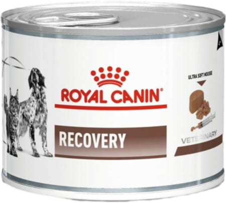 Royal Canin Recovery Bacon Liquid Can For Dogs And Cats | 195 G All Life Stages