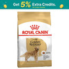 Royal Canin Golden Retriver Adult Dog Food | 12 Kg | Dry Food