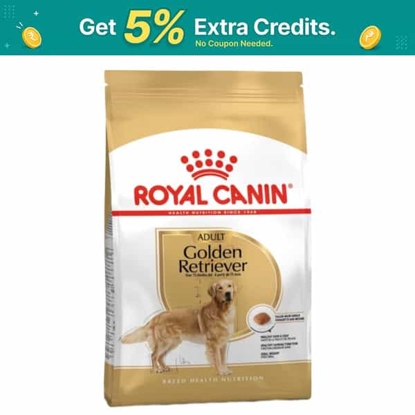 Royal Canin Golden Retriver Adult Dog Food | 12 Kg | Dry Food