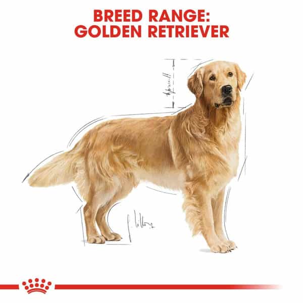Royal Canin Golden Retriver Adult Dog Food | 12 Kg | Dry Food