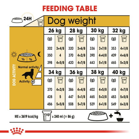 Royal Canin Golden Retriver Adult Dog Food | 12 Kg | Dry Food