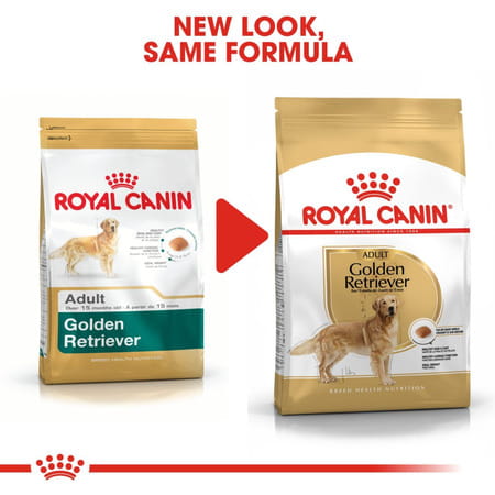 Royal Canin Golden Retriver Adult Dog Food | 12 Kg | Dry Food