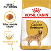 Royal Canin Golden Retriver Adult Dog Food | 12 Kg | Dry Food