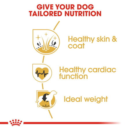 Royal Canin Golden Retriver Adult Dog Food | 12 Kg | Dry Food