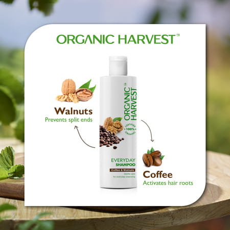 Organic Harvest Everyday Shampoo: Coffee & Walnuts | For Dry & Frizzy Hair |Paraben-Free - 250ml