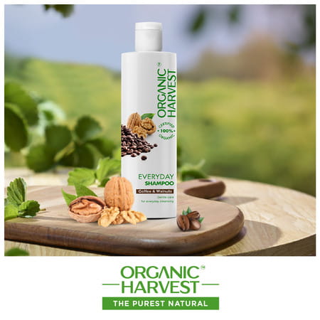Organic Harvest Everyday Shampoo: Coffee & Walnuts | For Dry & Frizzy Hair |Paraben-Free - 250ml