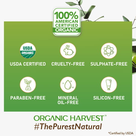 Organic Harvest Everyday Shampoo: Coffee & Walnuts | For Dry & Frizzy Hair |Paraben-Free - 250ml