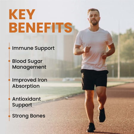 Vlado'S Himalayan Organics Zinc Citrate | Healthy Immune Function & Iron Absorption - Veg - 120n