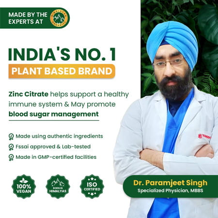 Vlado'S Himalayan Organics Zinc Citrate | Healthy Immune Function & Iron Absorption - Veg - 120n