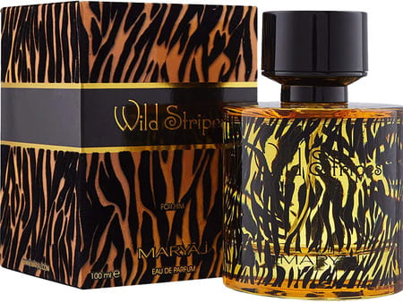 Maryaj Direction East Edp 100Ml For Men & Wild Stripes For Him Edp 100Ml Pack Of 2