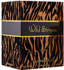 Maryaj Direction East Edp 100Ml For Men & Wild Stripes For Him Edp 100Ml Pack Of 2