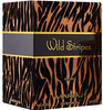 Maryaj Direction East Edp 100Ml For Men & Wild Stripes For Him Edp 100Ml Pack Of 2